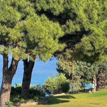 فيلة Sea View Afitos 150 M From The Sea كاساندريا